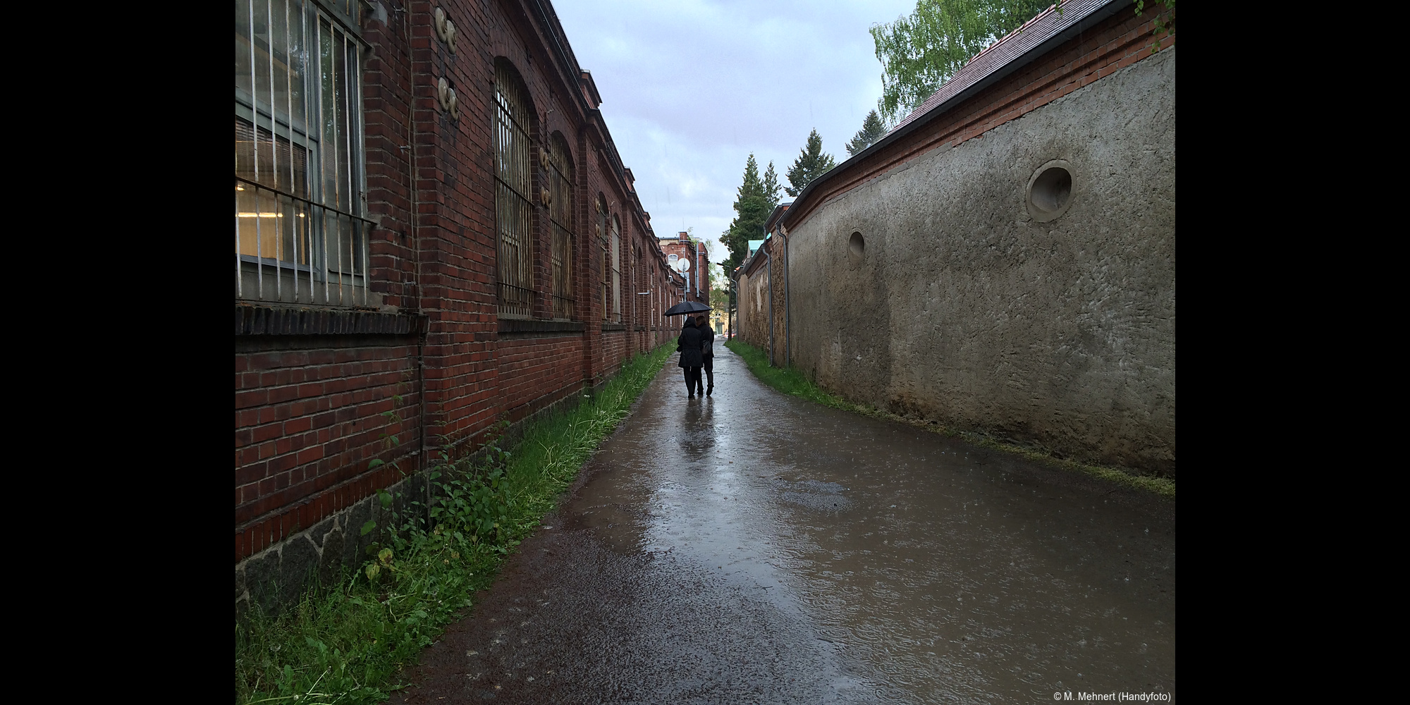 Fotograf Bautzen Taucherfriedhof Regen Daniel Kirsten Bildbearbeitung Retusche