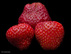 Stillleben photographer Produktfotograf Fotograf Produkt Produktfotografie Dresden Stolpen Nossen Erdbeeren