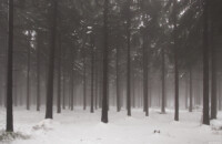 Lost Place Melancholie Ruhe Kunst Tristesse Dresden Löbtau Pieschen Bautzen Nossen Blasewitz Wald trüb Nebel