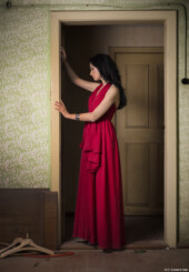 Dachboden Erotikshooting Erotik Rotes Kleid Küche Fotograf Fleischerbeil Kohle Lost Place Portrait Violine Dresden