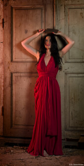 Fleischerbeil Kohlenbunker Fotograf Erotikshooting Dachboden Portrait Violine Rotes Kleid Kunst Erotik