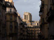 Portrait Kunst Freital Dresden Meißen Moritzburg Pirna Radebeul Tharandt Bischofswerda Notre Dame Paris