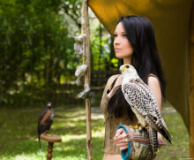Greifvogel Bussard Habicht Falke Fotograf blond Portrait Portraitfotograf Dresden Bischofswerda Bautzen Heidenau Löbtau