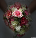 Hochzeitsfotograf Brautpaar Hochzeitsshooting Brautfoto Schleier Pillnitz Johannstadt Dresden Tharandt Brautstrauß