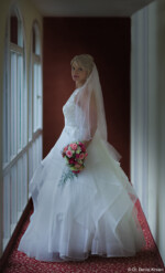 Hochzeitsshooting Hochzeitsfoto Schleier Brautkleid Brautfoto Pillnitz Dresden Bautzen Wilthen Braut am Fenster