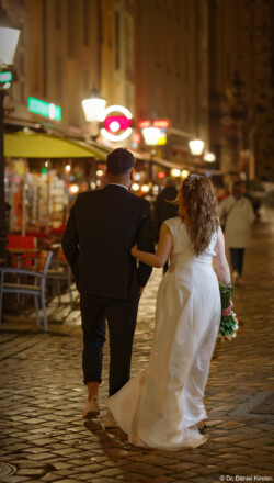 Hochzeitsfotografie Brautpaar Brautkleid Fotograf Schleier Hochzeitsshooting Brautpaarshooting Pirna Münzgasse