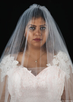 Brautpaarshooting Brautkleid Fotograf Brautpaar Schleier Hochzeitsshooting Hochzeitsfotograf Dresden Radebeul Freital