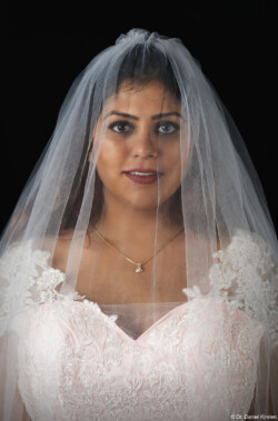 Brautpaar Hochzeitsfotograf Fotograf Schleier Brautpaarshooting Hochzeitsfotografie Brautkleid Nossen Meißen Blasewitz