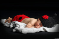 Newbornfoto Neugeborenenfoto Newborn Neugeborenenfotografie Fotograf Baby Meißen Radebeul Marienkäfer