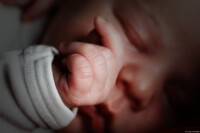 Newbornfotograf Babyfotograf  BabyfotografieNeugeborenenfotograf Baby Loschwitz