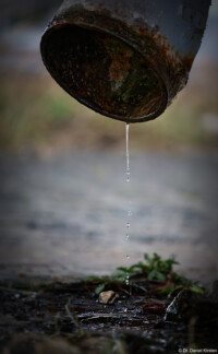Dresden Fotograf Rohr Abwasserrohr Tropfen Tristesse Johannstadt