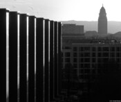 Abendsonne in Dresden Abendsonne Dresden Rathaus Fotograf Daniel Kirsten SchwarzWeiß