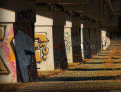 Dresden, Brücke im Ostragehege in der Abendsonne Fotograf Daniel Kirsten Dresden Schlachthofbrücke Abendsonne Ostragehege