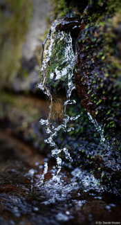Puschquelle am Prießnitz-Wasserfall in der Dresdner Heide Fotograf Daniel Kirsten Dresden Prießnitz-Wasserfall Dresdner Heide Puschquelle