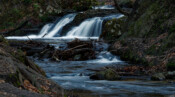 Am Prießnitz-Wasserfall in der Dresdner Heide Fotograf Daniel Kirsten Dresden Prießnitz-Wasserfall Dresdner Heide