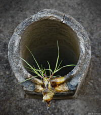   Fotografie Bildbearbeitung Daniel Kirsten Portrait Dresden Rohr Abflussrohr
