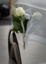 Fotografie Bildbearbeitung Daniel Kirsten Portrait Freiberg Hochzeit Hochzeitsfotografie