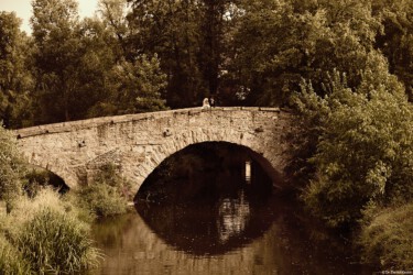 Daniel Kirsten Hochzeitsfotograf Brücke Sepia Hochzeitsfoto Johannstadt Freital Radebeul