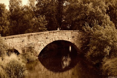Daniel Kirsten Hochzeitsfotograf Brücke Sepia Hochzeitsfoto Dresden Radeberg Bischofswerda Pirna