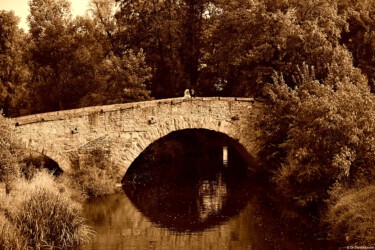 Daniel Kirsten Hochzeitsfotograf Brücke Sepia Hochzeitsfoto Dresden Tharandt Pillnitz Kamenz Moritzburg Löbtau