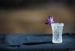 Produktfotografie Produktfotograf Dresden Kristall Frühling Krokus
