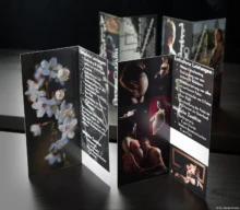 Portraitfotograf Teilakt Portrait Erotikshooting Radeberg Moritzburg Pieschen Geschenkgutschein