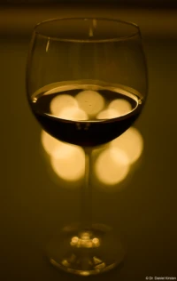 f/2.0, Helios-44M. Helios-44M Rotwein Fotograf Fotoshooting Portrait Portraitfotograf Johannstadt