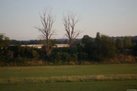 Dürre Bäume bei Kaditz, im Hintergrund die A4. Serkowitz Autobahn Alte Bäume Industar-50-2 Altglas Fotoshooting Dresden Dippoldiswalde Stolpen Moritzburg