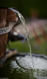 Canon Vollformat. Wasser Wasserfall Eimer Fotograf Hochzeit Dresden Schaum