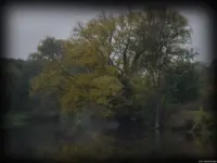 Trüber Herbsttag in Bad Dürrenberg. Helios-44 Hochzeitsfotograf Helios-44-2 Altglas Helios