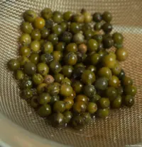 Grüner Pfeffer mit Zwischenring (f/4.0?). Carl Zeiss Jena Tessar 2.8/50 Kamenz Sieb Altglas