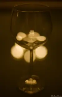 Noch ohne Inhalt. Takumar 1.8/55 ZebraWeinglas Rotwein