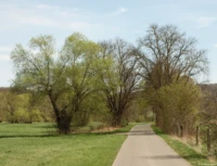Fahrradweg bei Leißling. Carl Zeiss Jena Tessar f/2.8 50mm