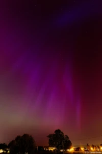 Polarlicht Nordlicht Aurora borealis Dresden Mai 2024 Elbwiesen