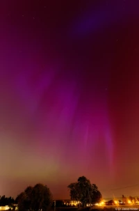 Polarlicht Nordlicht Aurora borealis Dresden Mai 2024 Elbwiesen