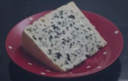 Carl Zeiss Jena Tessar 4.5/75 Käse Blauschimmelkäse