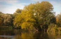 Herbst an der Saale in Bad Dürrenberg, f/5.6, APS-C. Carl Zeiss Jena Tessar 2.8/50 Herbst Saale Bad Dürrenberg Herbstsonne