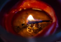 Das Ende einer Kerze. Auto-Takumar 55mm f/1.8 Kerze Wachs Docht