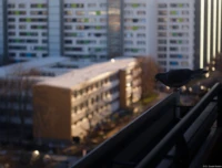 Um die Taube herum hat sich ein sehr schönes Bokeh gebildet. An diesem Foto erkennt man das große künstlerische Potenzial des Tessars, Offenblende, Vollformat, stark beschnitten. Tessar Bokeh Taube Balkon Abendsonne