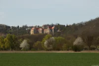 Schloss Goseck mit blühenden Obstbäumen, APS-C. Carl Zeiss Jena Sonnar 3.5/135 Goseck