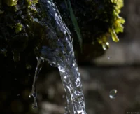 Mosesquelle, APS-C. Carl Zeiss Jena Sonnar 3.5/135 Mosesquelle Schönburg