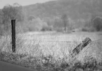 Weidezaun bei Leißling, APS-C. Carl Zeiss Jena Sonnar 3.5/135 Weidezaun Leißling