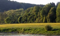 Landschaft am Abend im Elbtal bei Bad Schandau, APS-C. Sonnar 135mm Elbe Landschaft Abendsonne