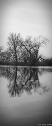 Bäume an der Saale in Bad Dürrenberg im Februar 2025, Carl Zeiss Jena Tessar 2.8/50 red T 12 blade, Vollformat. Tessar f/2.8 50mm red T 12 Lamellen Saale Bäume Bad Dürrenberg