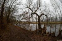 Saale bei Bad Dürrenberg, diffuses Licht, das Bild wirkt flau und langweilig. Pentax Asahi Fish-eye-Takumar 17mm f/4 Wald Saale Bad Dürrenberg