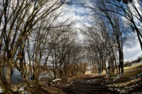 Diese Szene in Dresden wirkt dank des scharfen Lichtes wesentlich stimmungsvoller. Fish Eye Takumar 4/17 Dresden Elbwiesen