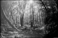 Erlenbruch Gliensee Fish-eye Takumar 17mm f/4 