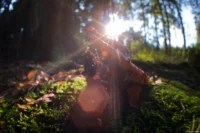 Durch das Abblenden bilden sich sechseckige Lensflares. Fisheye-Takumar Lensflare Gegenlicht 4/17 Fliegenpilz Lensflare