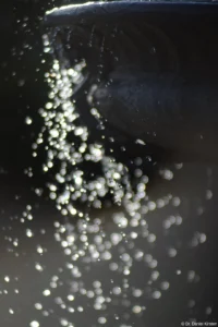 Eigenartige Bokeheffekte, APS-C. Petri C.C 135mm f/2.8 Bokeh Wasser APS-C
