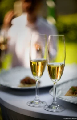 Ich sehe in Willy Mertes Biotar 2/58 ein enormes künstlerisches Potential, insbesondere für die Hochzeitsfotografie. Weinglas Weingläser Biotar 2/58 Bokeh Hermsdorf